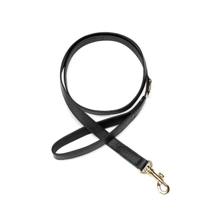 Leather Dog Leash- Black