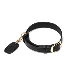 Leather Dog Collar- Black (Small)